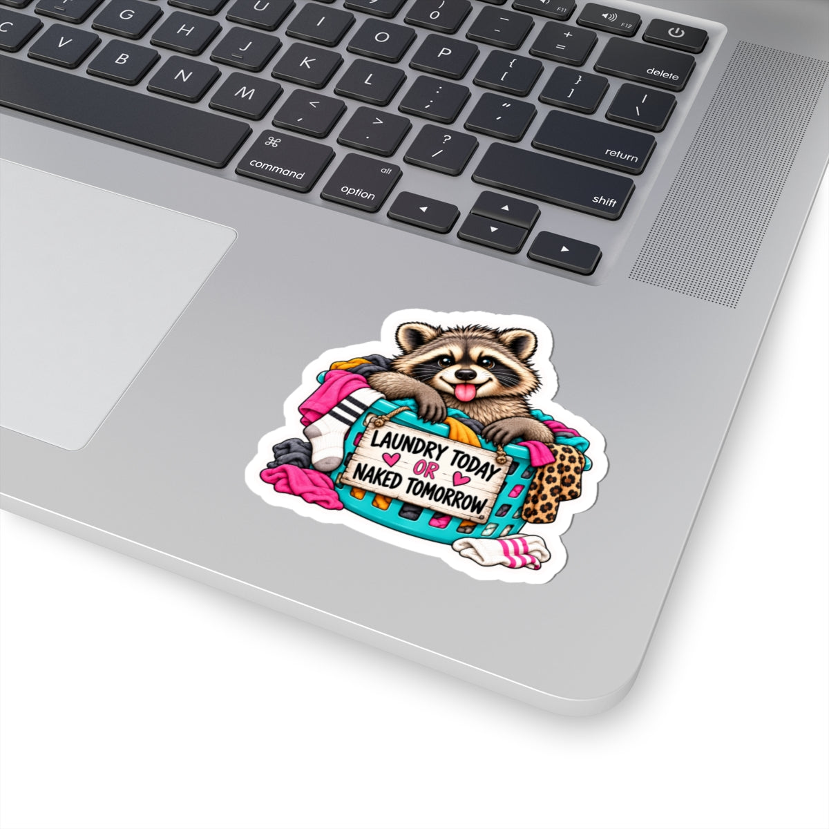 Sticker — Cute Raccoon Laundry Sticker: "Laundry Today or Naked Tomorrow" Kiss-Cut Vinyl