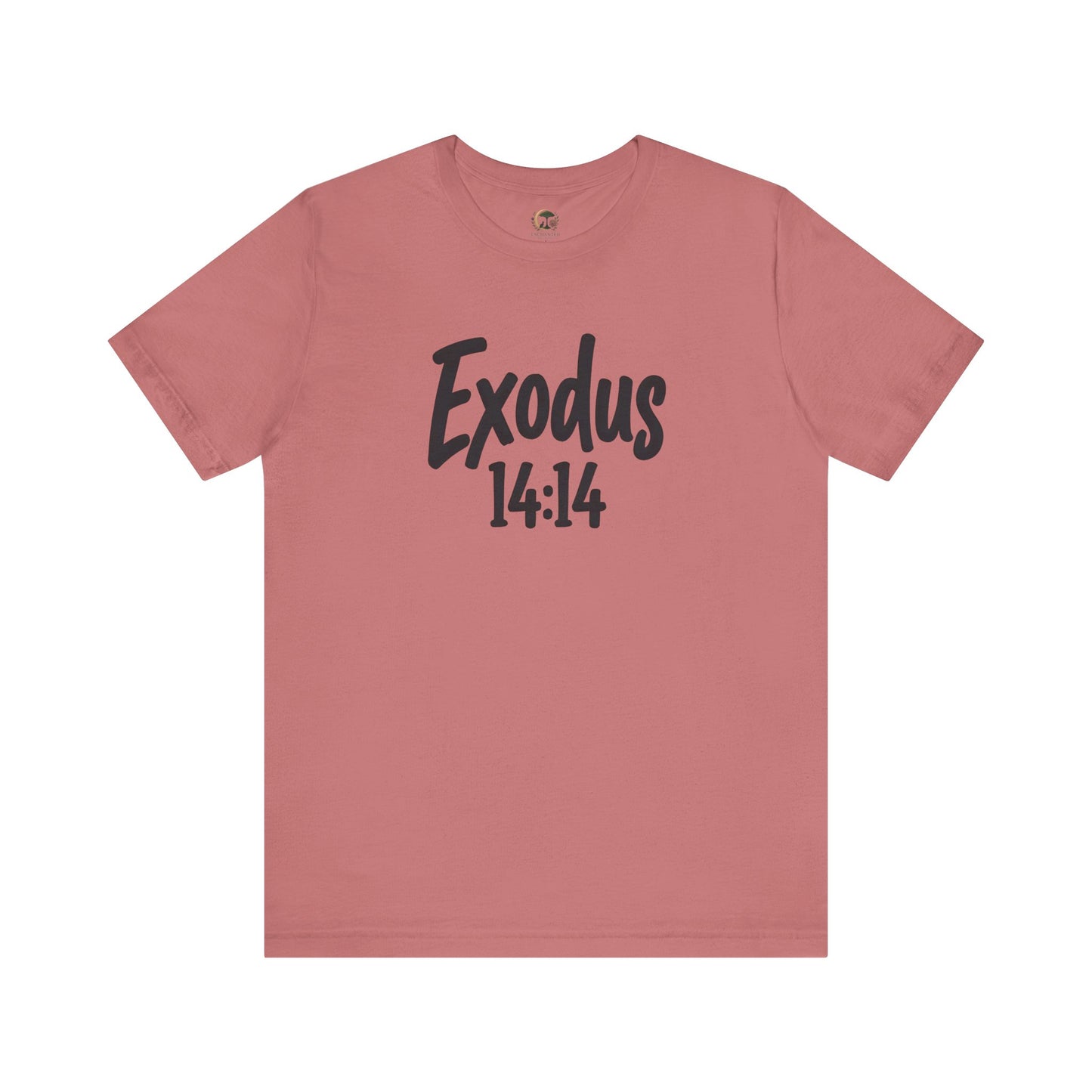 Exodus 14:14 Christian T-Shirt — Faith Scripture Tee