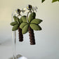 Tropical Palm Tree | Beach Polymer Clay Dangle Vacation Earrings
