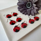 Enchanted Ladybug | Spring | Summer | Bug Polymer Clay Dangle Earrings