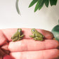 Enchanted Frog | Polymer Clay Stud Earrings