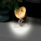 Moonlit Reading Nook Earrings