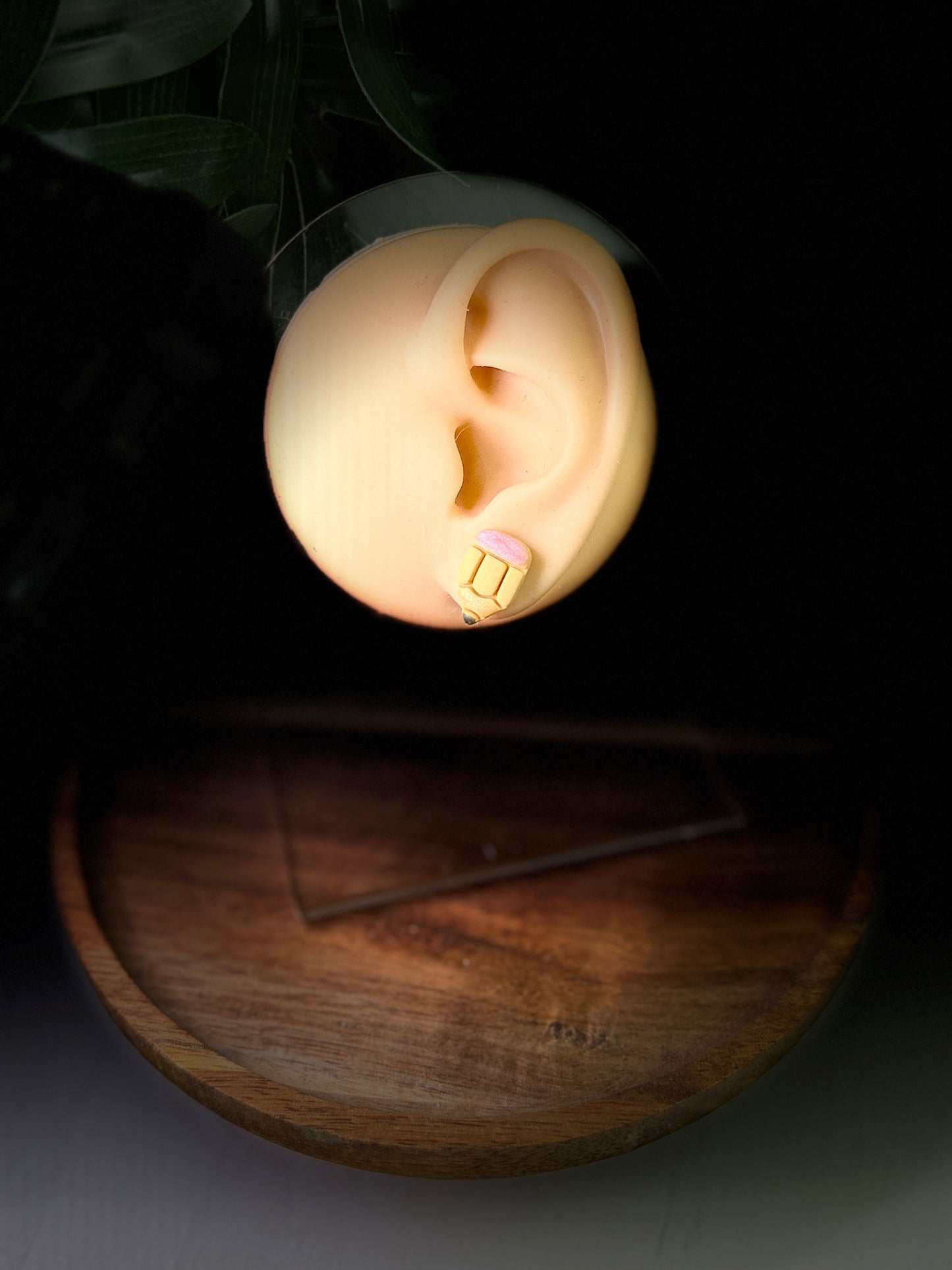 Enchanted Classroom Cuties Stud Earrings