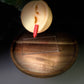 Enchanted Classroom| Teacher | Back to School Cuties Stud Earrings