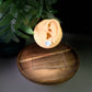 Enchanted Classroom| Teacher | Back to School Cuties Stud Earrings