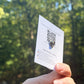 Back of the graduation lapel pin display card showing the pin backing.