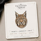 Bobcat Earrings & Pins on display card