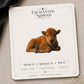Baby Bison Earrings & Pins on a branded display card