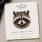 Raccoon Earrings & Pins on a branded display card