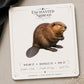 National Park Inspired Beaver Earrings & Pins on a display card
