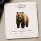 Grizzly Bear Earrings & Pins on a branded display card