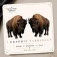 Bison Earrings & Pins on a branded display card