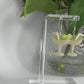 Enchanted Margarita Dangles - Polymer Clay Earrings